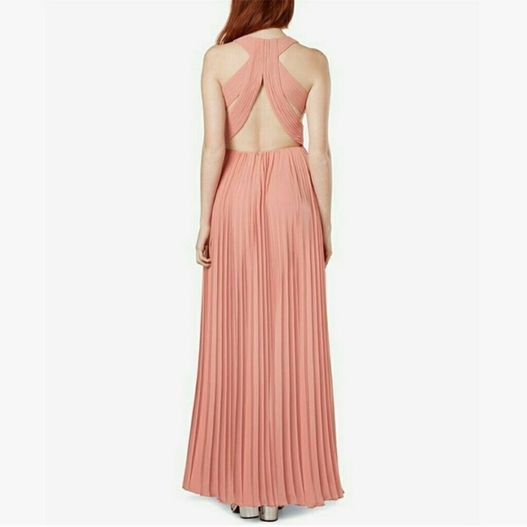 Fame and Partners V neck Open Back Pleated Gown in Mauve Pink - Picture 3 of 14